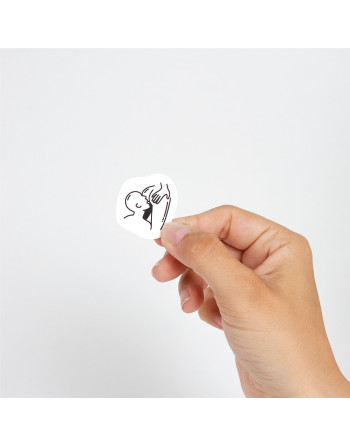 SET DE 10 TATTOOS TEMPORALES - KINKY COLLECTION CHIC TATTOO SECRET PLAY