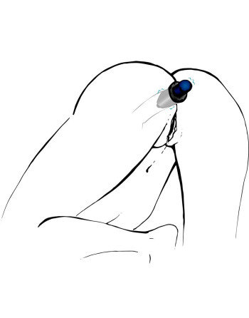 PLUG ANAL EN SILICONA LUST TUNNEL