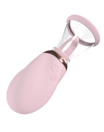 BOMBA RECARGABLE PARA LA VULVA Y EL PECHO BOOST ROSA PUMPED