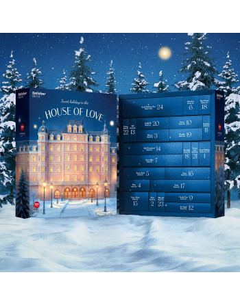 CALENDÁRIO DO ADVENTO 2025 DELUXE SATISFYER